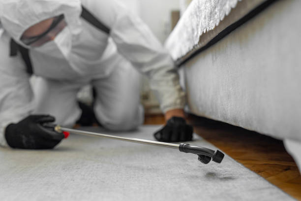 Professional Termite Control technician working in Reading, PA