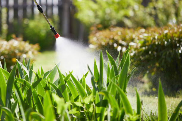 24/7 Emergency Termite Control experts in Reading, PA