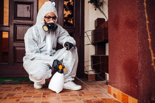Reliable Termite Control contractor in Reading, PA by Nex Pest Control